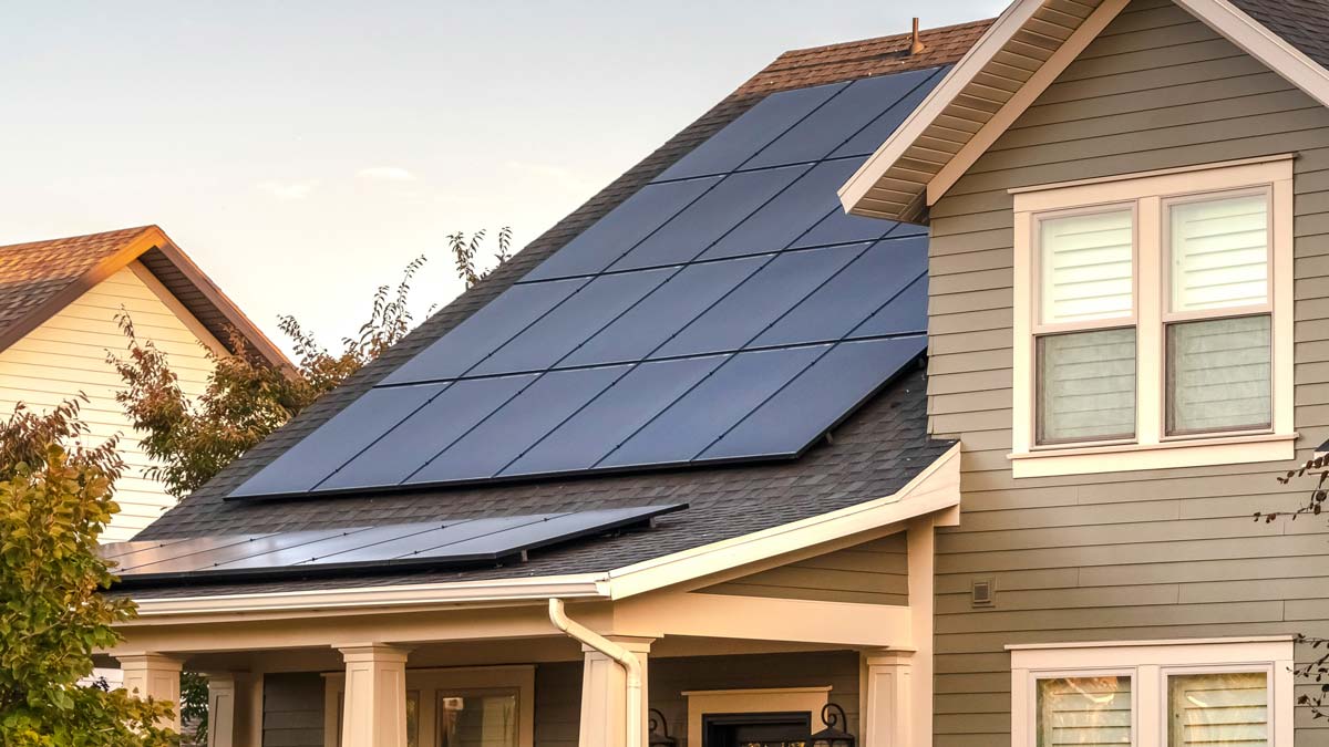 tree_removal_Preview A modern home painted white with black trim. Modern, sleek solar panels cover the roof.