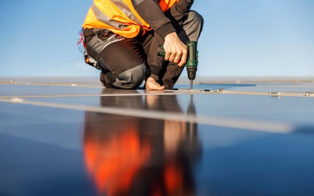 Full Home Energy Upgrade in Bangor: Solar, Battery & Tree Service