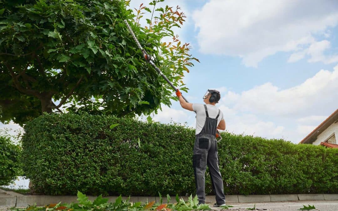 All-in-One Home Upgrade in Harrisburg: Roofing, HVAC & Tree Services